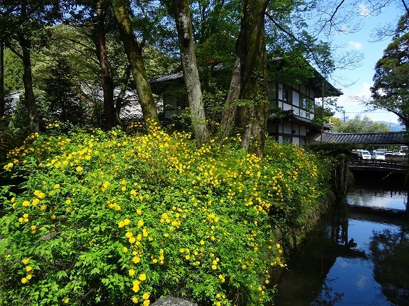 b0299042_10033380.jpg