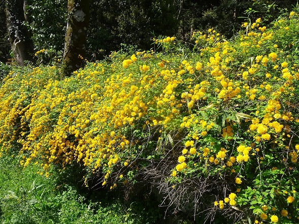 b0299042_10041764.jpg