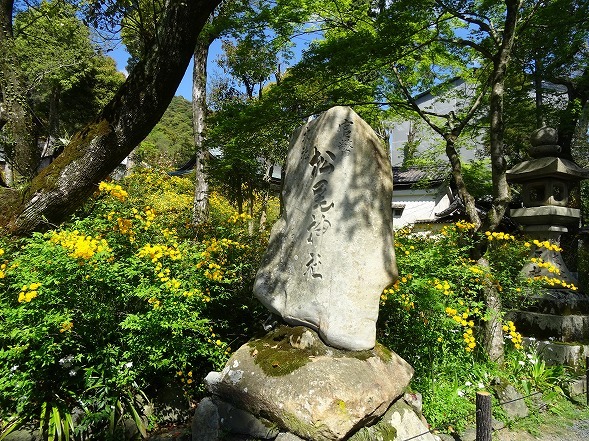 b0299042_10043631.jpg