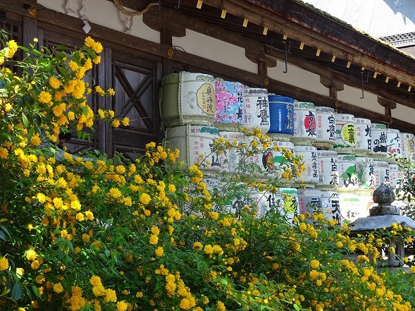 b0299042_10051338.jpg