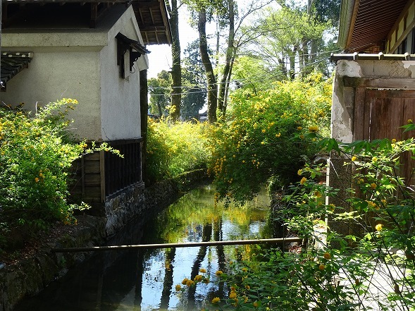 b0299042_10052012.jpg