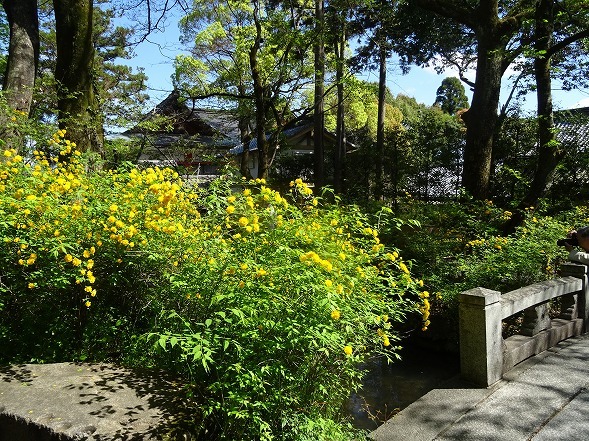 b0299042_10052595.jpg