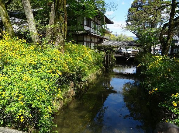 b0299042_10053004.jpg