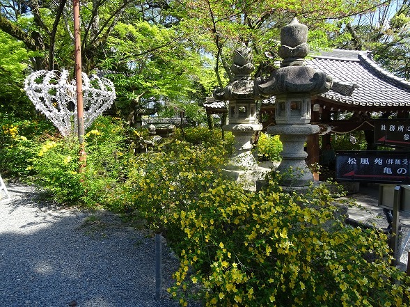 b0299042_10055186.jpg
