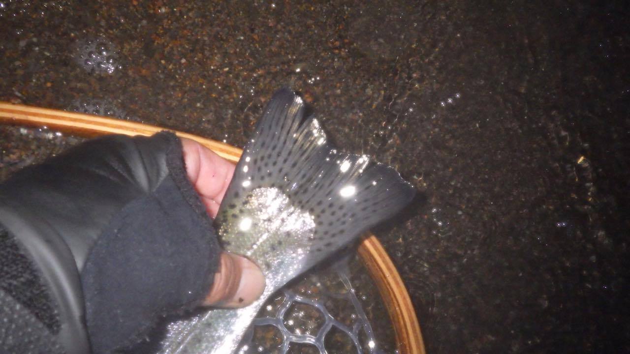 e0202845_19051110.jpg