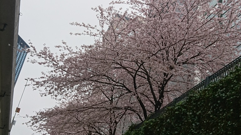 f0087347_23474471.jpg