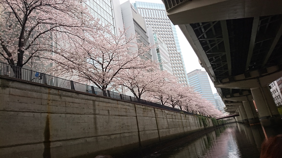 f0087347_23481215.jpg