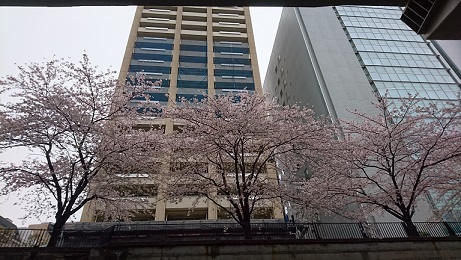 f0087347_2348324.jpg