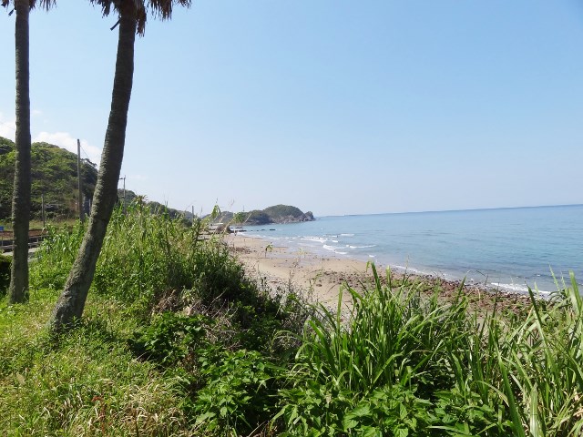 b0181748_11594710.jpg