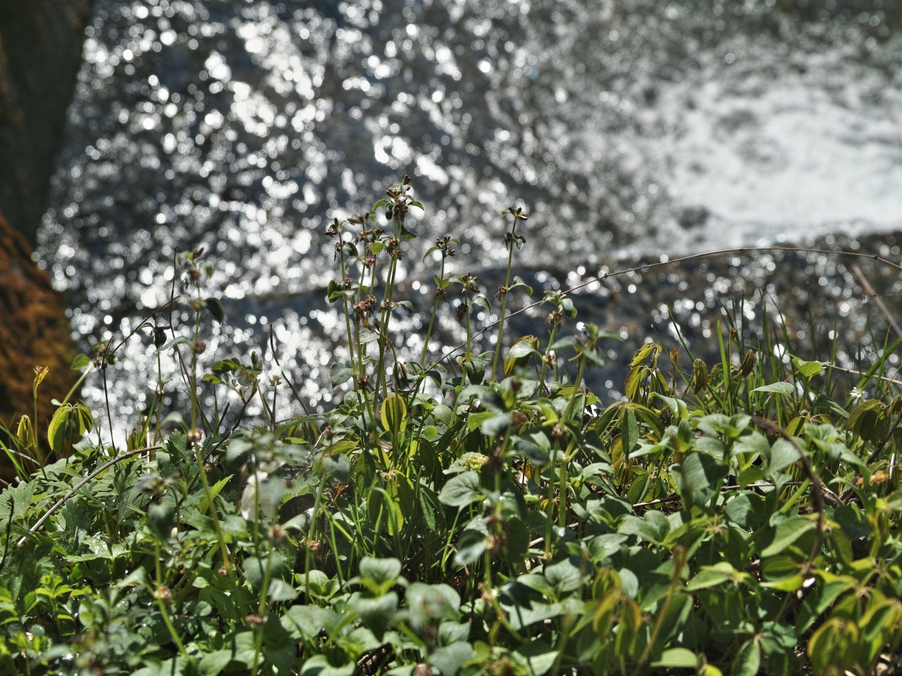 c0008948_1013999.jpg
