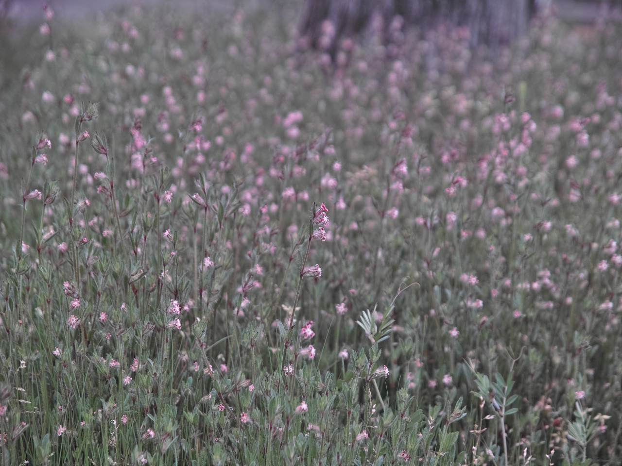 c0008948_15231632.jpg