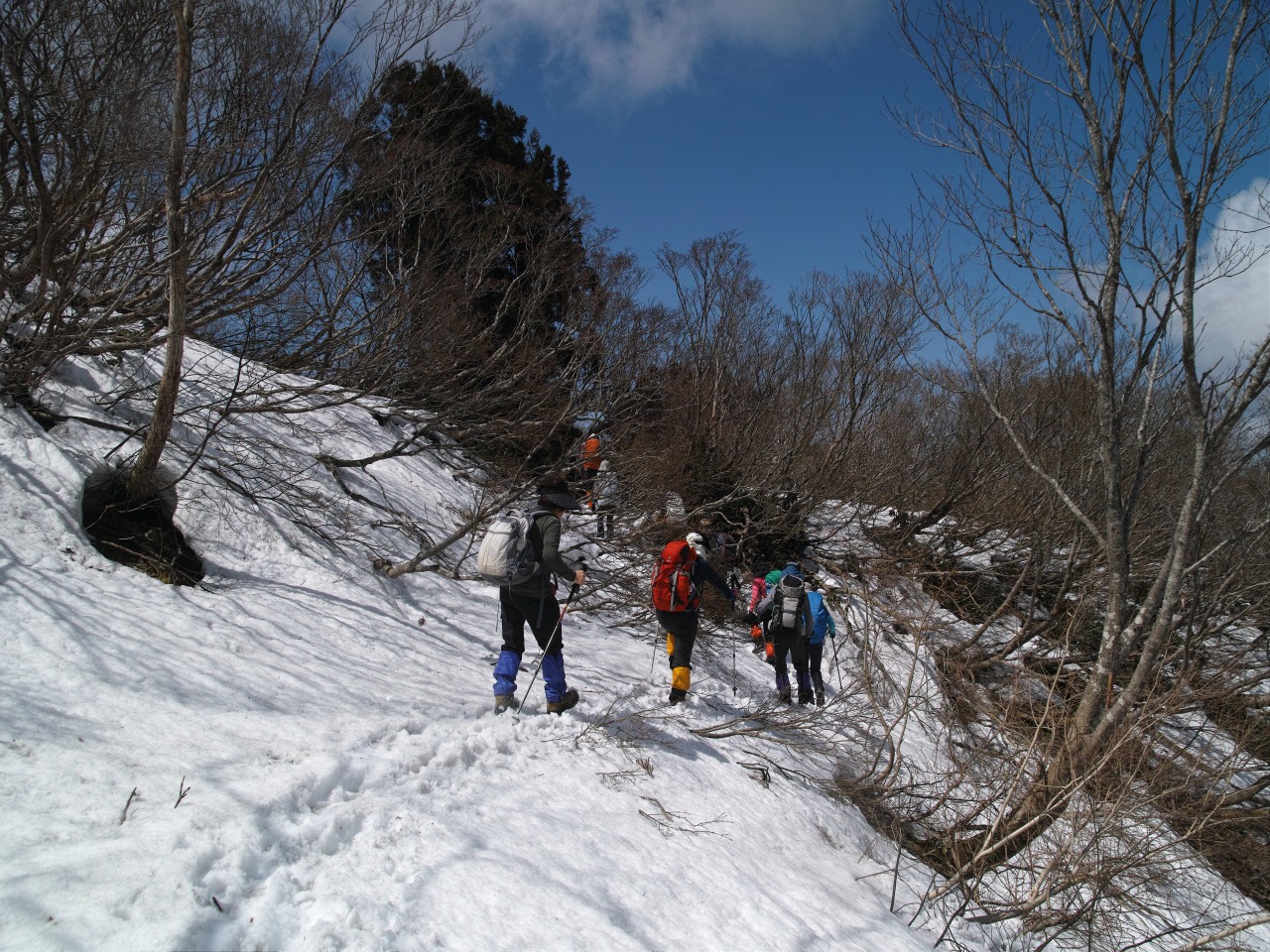 c0008948_222776.jpg