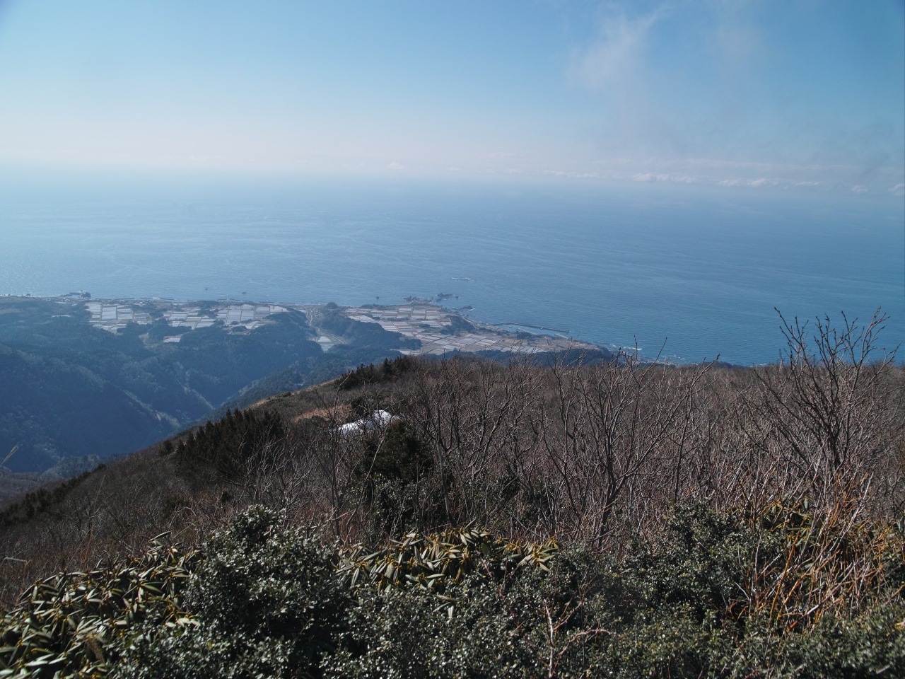 c0008948_2237784.jpg