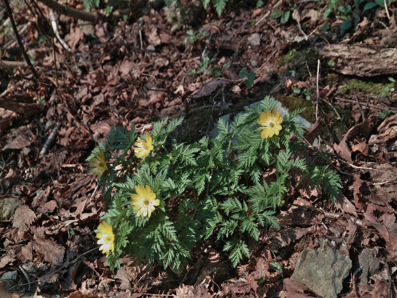 c0008948_22475244.jpg