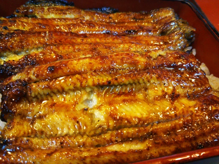 a0041150_00004719.jpg