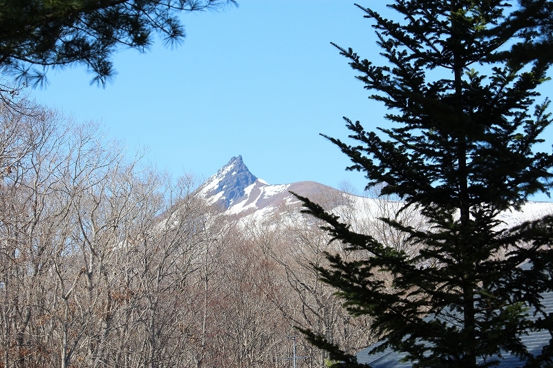 b0250154_06144525.jpg