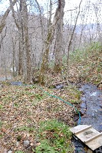 f0035962_8291183.jpg