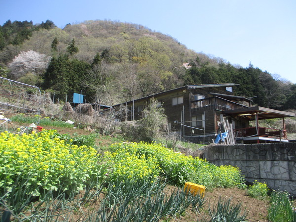 a0048963_19463054.jpg