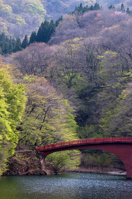 c0305565_18003250.jpg