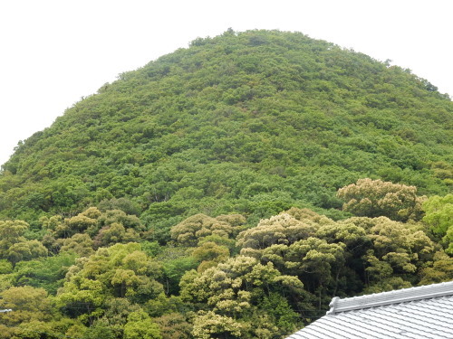f0054677_11323929.jpg