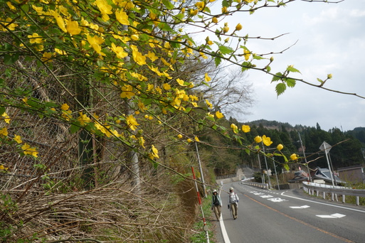 b0159780_9574918.jpg