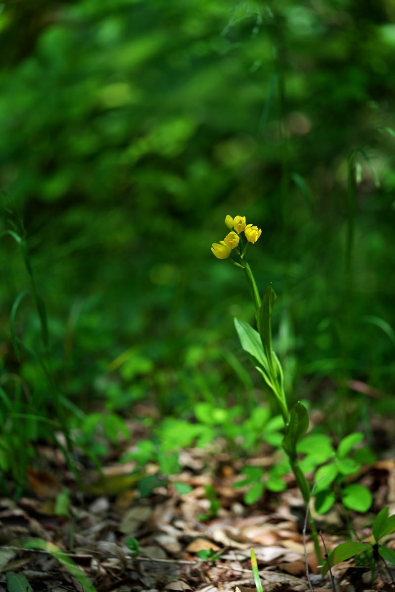 a0083081_10294148.jpg