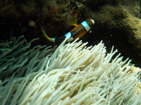 d0170586_1359249.jpg