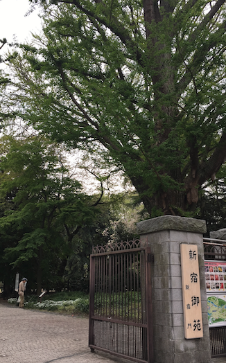e0064189_213336.png