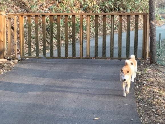 c0123890_19460454.jpeg