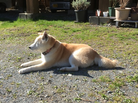 c0123890_19492022.jpeg