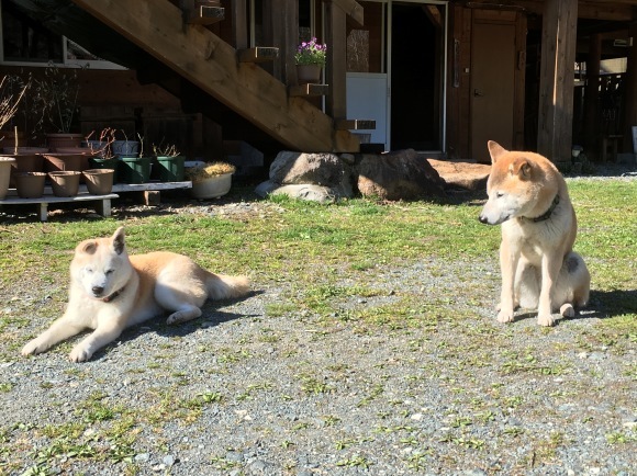 c0123890_19513748.jpeg