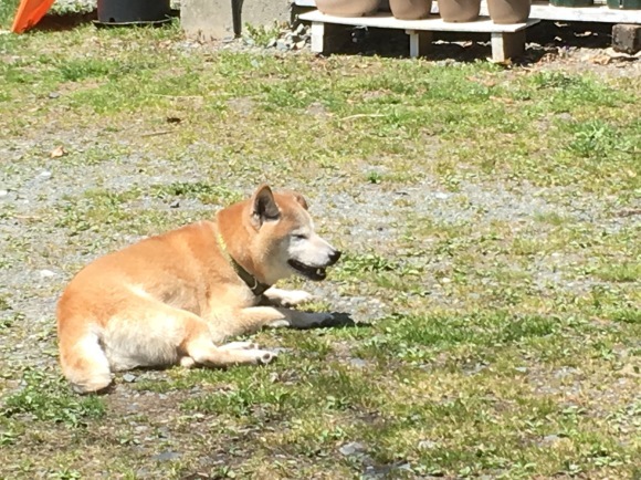 c0123890_19520245.jpeg