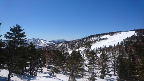 e0015490_22423097.jpg