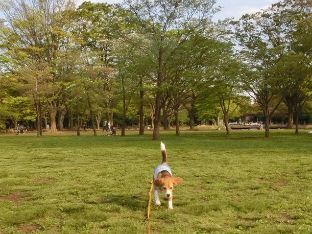 a0319693_985211.jpg