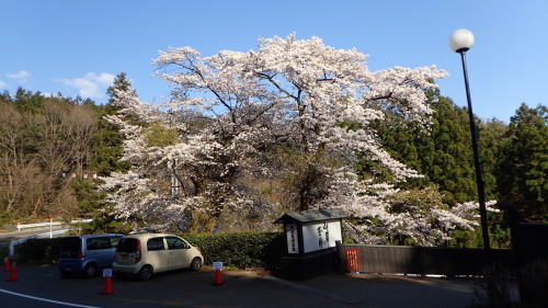 a0338094_23370358.jpg