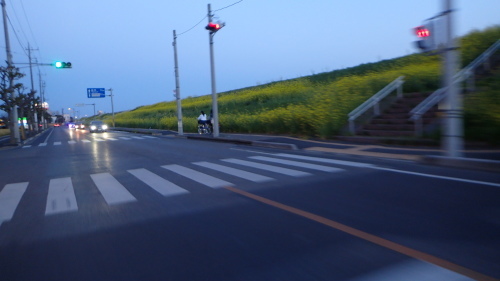 a0338094_23520360.jpg