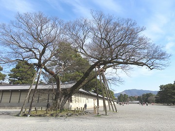 c0187004_10011575.jpg