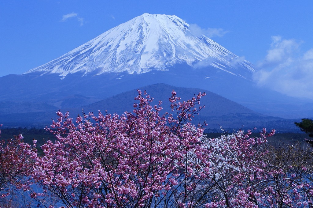 a0188405_17415253.jpg