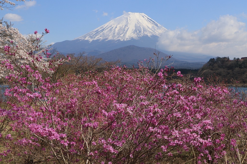 a0188405_17432027.jpg