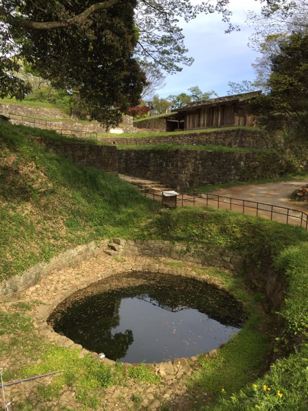 e0183106_17520118.jpg