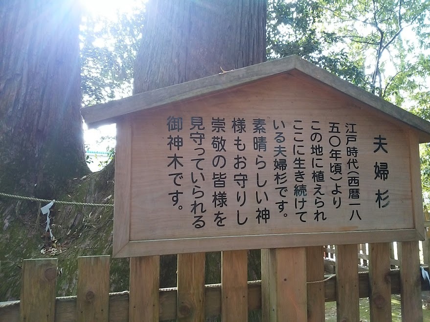 e0099212_21035591.jpg