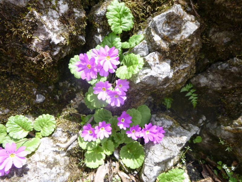 d0170615_19133091.jpg