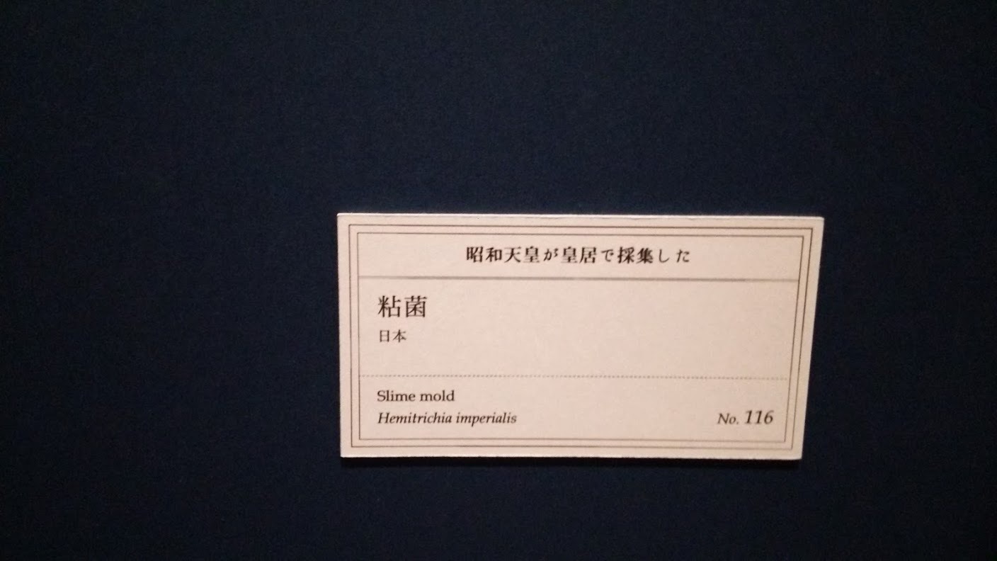 b0228416_11313983.jpg