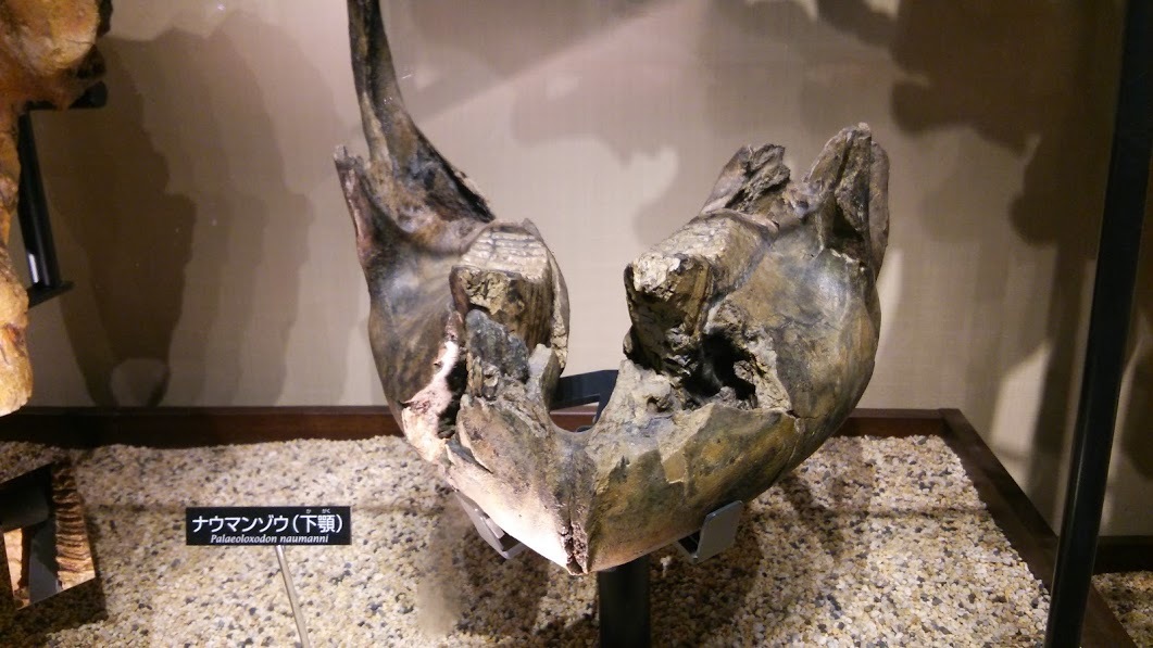 b0228416_13553147.jpg