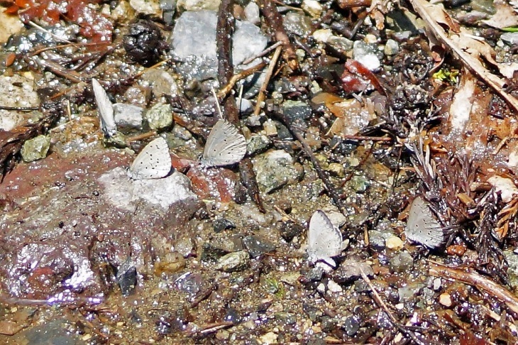 c0042418_07345601.jpg
