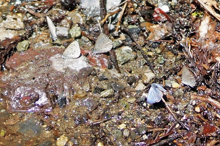 c0042418_07350793.jpg