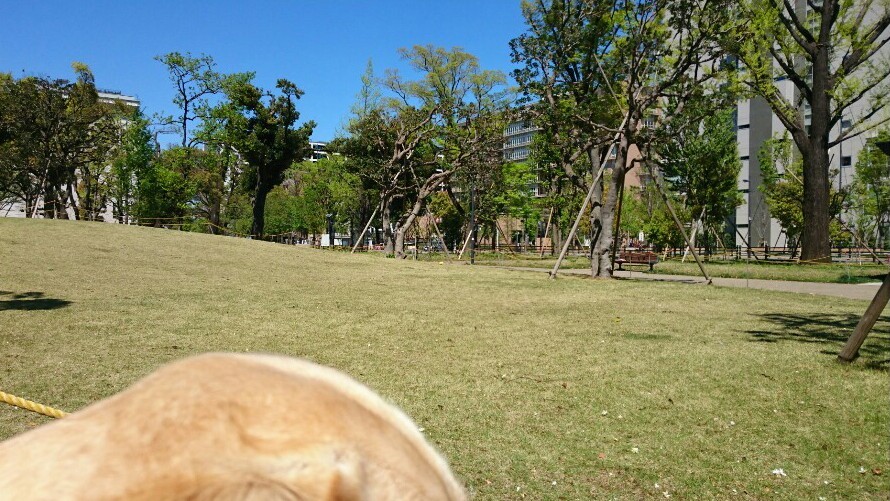 b0339522_18491841.jpg