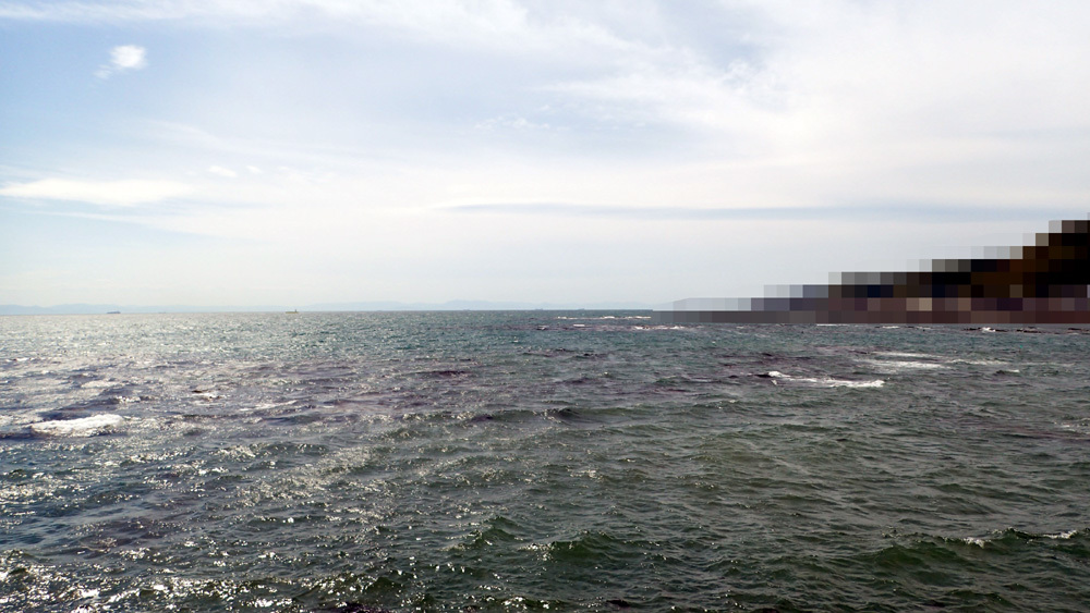 d0171823_19132929.jpg