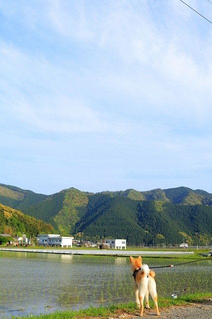 e0365036_13474712.jpg