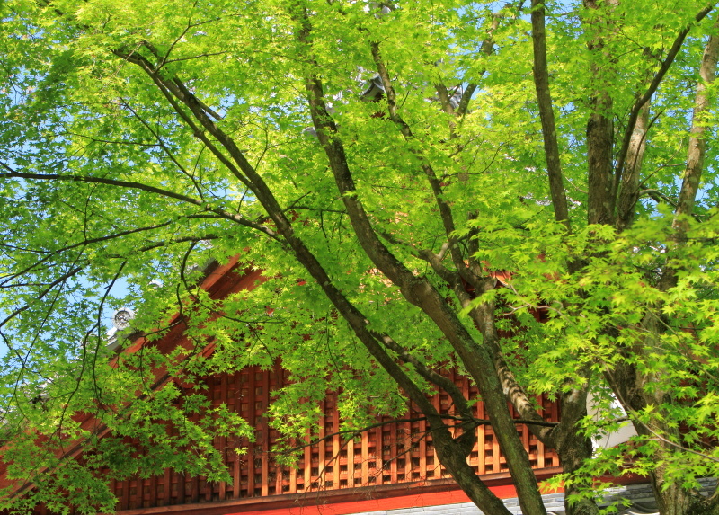 e0353539_15103986.jpg